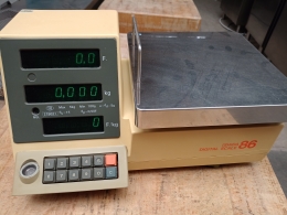 Ishida scale